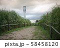 公園 空公園 曇り 58458120