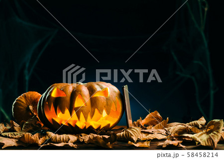 Halloween pumpkins in scary deep night Halloween pumpkins in scary deep night 58458214