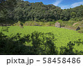 曽木発電所遺構 58458486