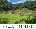曽木発電所遺構 58458488