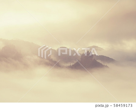Autumn misty landscape. High trees and hill peaks Autumn misty landscape. High trees and hill peaks 58459173