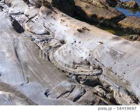 竜串海岸「日本の地質百選」の奇岩群/「足摺岬足摺宇和海国立公園」 竜串海岸「日本の地質百選」の奇岩群/「足摺岬足摺宇和海国立公園」 58459697