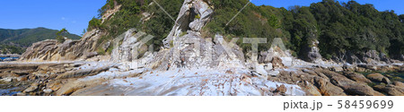 竜串海岸「日本の地質百選」の奇岩群/「足摺岬足摺宇和海国立公園」 竜串海岸「日本の地質百選」の奇岩群/「足摺岬足摺宇和海国立公園」 58459699