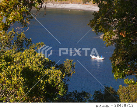 大浜海岸の漁の風景（えびす洞展望台より）「アカウミガメの産卵地」「日本の渚百選」 58459715