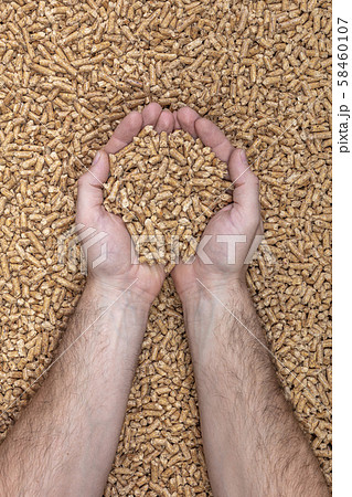 clasped hands contain natural wood pellets 58460107