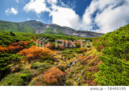 長野県 乗鞍岳 紅葉 長野県 乗鞍岳 紅葉 58460199