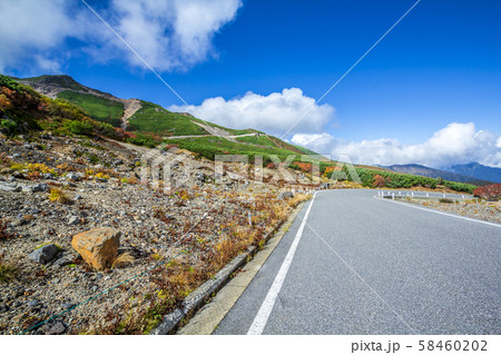 長野県　乗鞍岳　紅葉 58460202