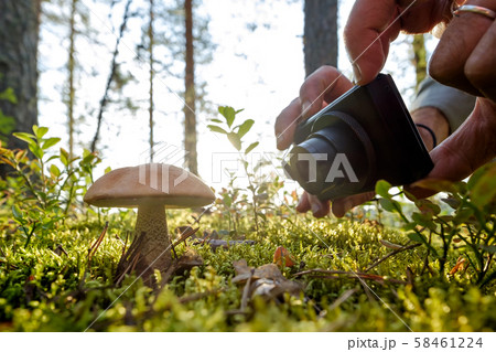 Man shooting orange cap boletus on camera. Man shooting orange cap boletus on camera. 58461224