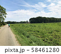 ヨーロッパの自然 58461280