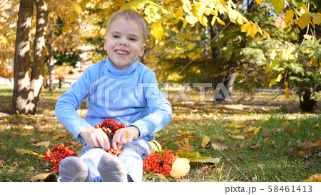 A child in the autumn Park plays and laughs merrily, he plays with yellow leaves and Rowan berries A child in the autumn Park plays and laughs merrily, he plays with yellow leaves and Rowan berries 58461413