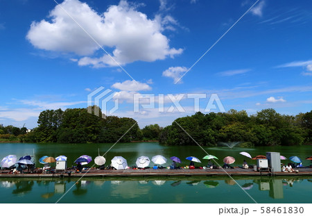 【川崎市】等々力緑地の釣り堀 58461830