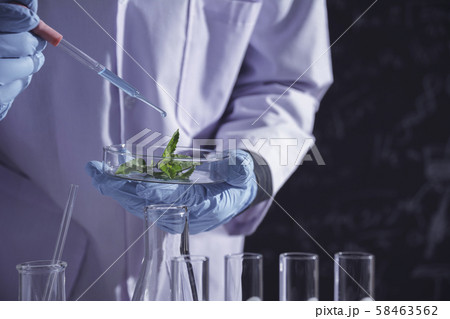 Researcher with glass laboratory chemical test Researcher with glass laboratory chemical test 58463562