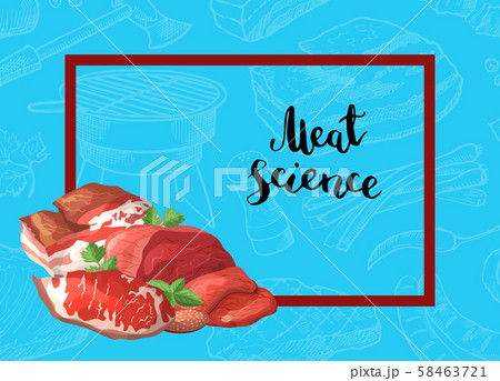 Vector cartoon meat elements background illustration 58463721