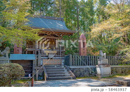 京都 今宮神社 織姫社 58463937