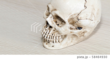 Head of skull human model wood on table.Copy Head of skull human model wood on table.Copy 58464930