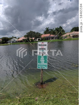 DO NOT FEED THE ALLIGATORS 58465594