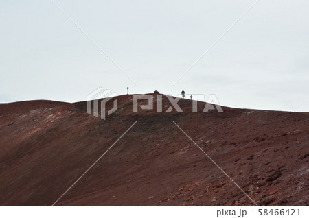 アイスランド  ヴェストマン諸島　Iceland Vestmannaeyjar 58466421