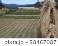稲束干し２０１９０２ 58467087