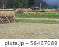 稲束干し２０１９０３ 58467089