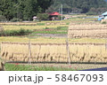 稲穂干し２０１９０７ 58467093