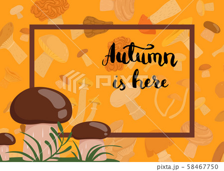 Vector edible mushrooms in grass background Vector edible mushrooms in grass background 58467750