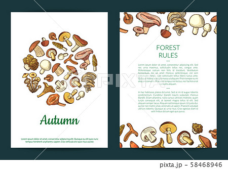 Vector hand drawn mushrooms card, flyer or brochure template illustration Vector hand drawn mushrooms card, flyer or brochure template illustration 58468946
