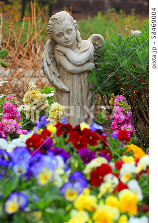 天使の石像とパンジーの群生 58469004