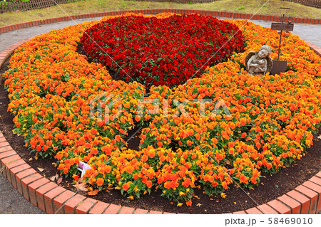 パンジーでハートを型どった花壇 58469010