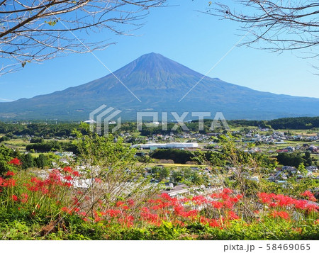 興徳寺　彼岸花のある景色 58469065