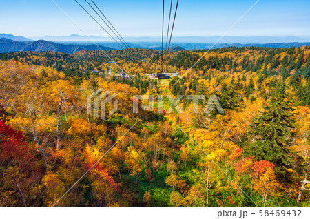 旭岳の紅葉 58469432