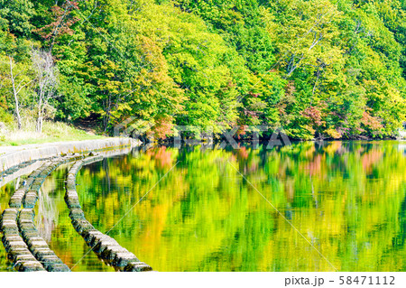 秋の屈斜路湖　和琴半島　弟子屈町 58471112