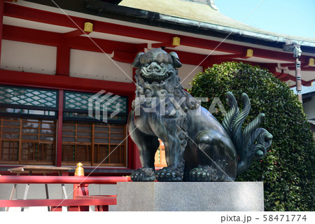 西宮神社の狛犬-1 58471774
