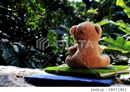 teddy bear notebook on green back ground . 58471962