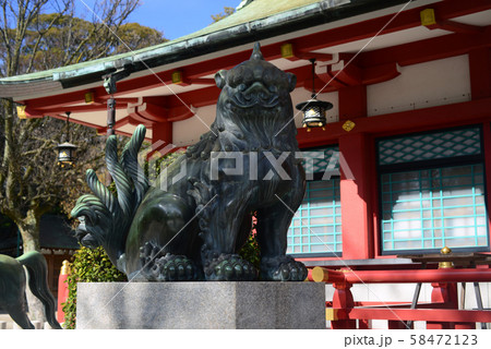 西宮神社の狛犬-5 58472123