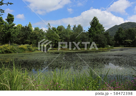 晩夏の軽井沢レイクガーデン 晩夏の軽井沢レイクガーデン 58472398