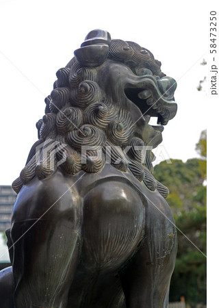 西宮神社の狛犬-11 58473250