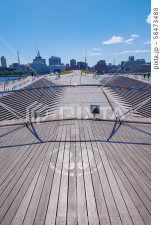 横浜みなとみらい都市風景【大さん橋】 58473480