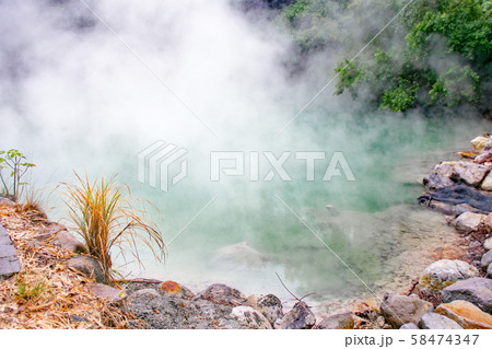 台湾　台北市　北投温泉　地熱谷（地獄谷） 58474347