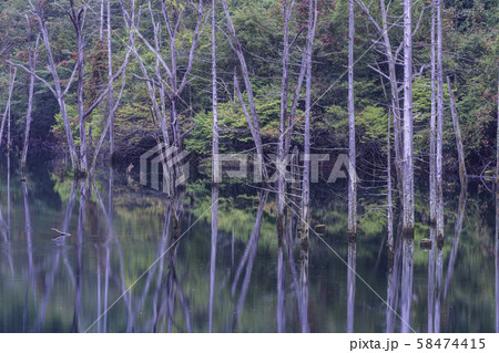 （長野県）王滝村の自然湖 58474415