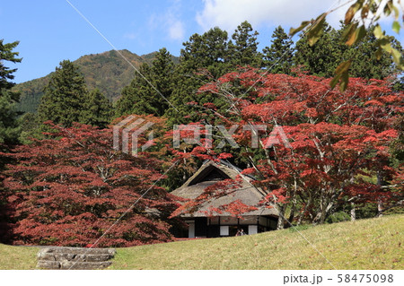 由緒ある神社の神庭、古峯園 58475098