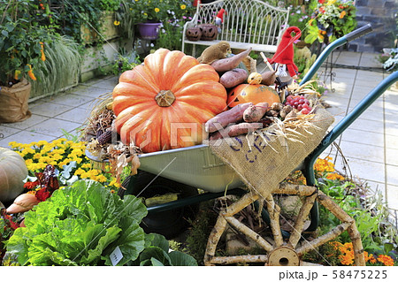 ハロウィン飾り　Halloween 58475225