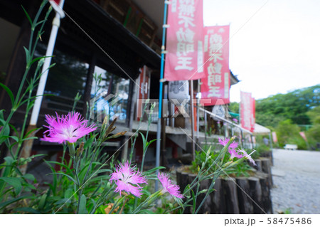 秩父長瀞七草寺(不動寺) 秩父長瀞七草寺(不動寺) 58475486