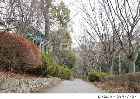 黄檗公園付近の風景 58477767