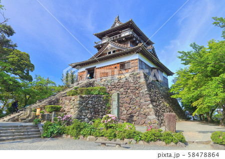 【福井県】晴天下の新緑の丸岡城 58478864