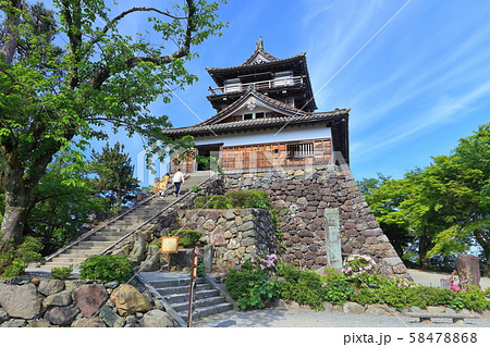 【福井県】晴天下の新緑の丸岡城 【福井県】晴天下の新緑の丸岡城 58478868