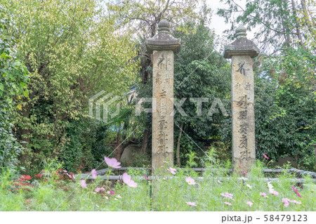 般若寺5713 58479123