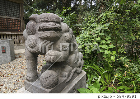 狛犬 狛犬 58479591