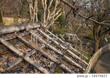 あづまやの屋根 58479825