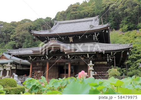 京都　三室戸寺 58479975