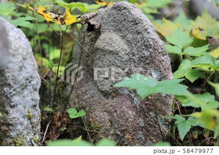 京都　善峯寺　石仏 58479977